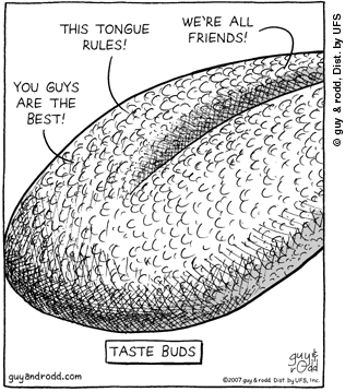 brevity